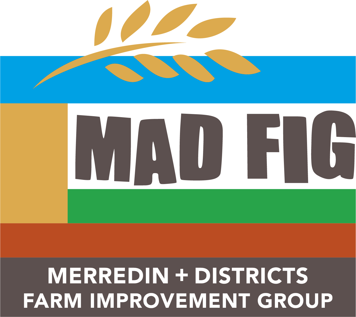 MADFIG Full Logo
